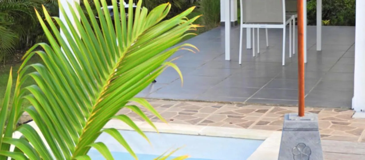 Daire Appartement Confortable Au Moule 60 M² Vue Piscine Le Moule Guadeloupe